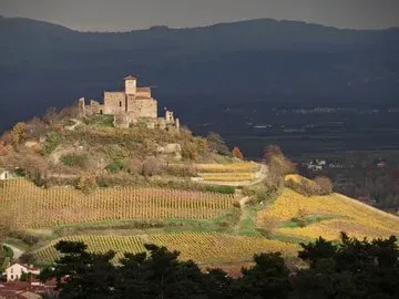 Domaine viticole près de Ambert